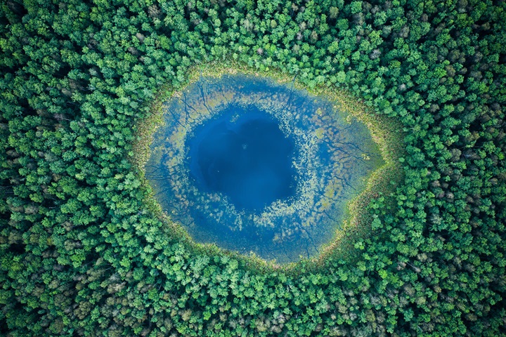 Lake in a forest