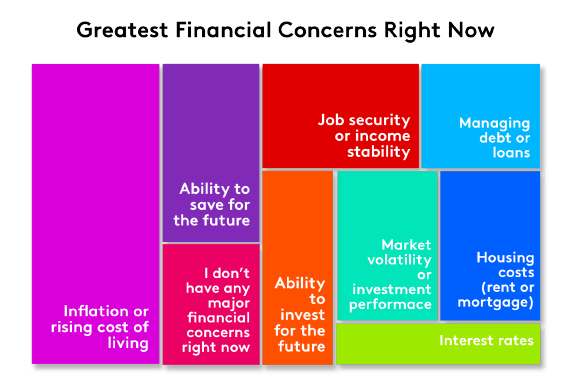 Greatest financial concerns